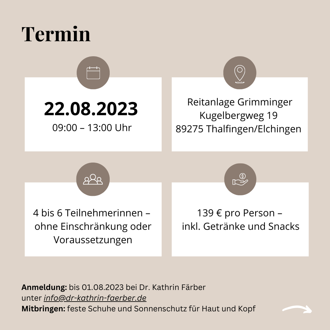 Workshop Dare to shine 22.08.2023 09 - 13 Uhr 3