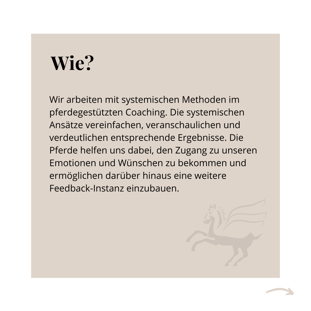 Workshop Dare to shine 22.08.2023 09 - 13 Uhr 5